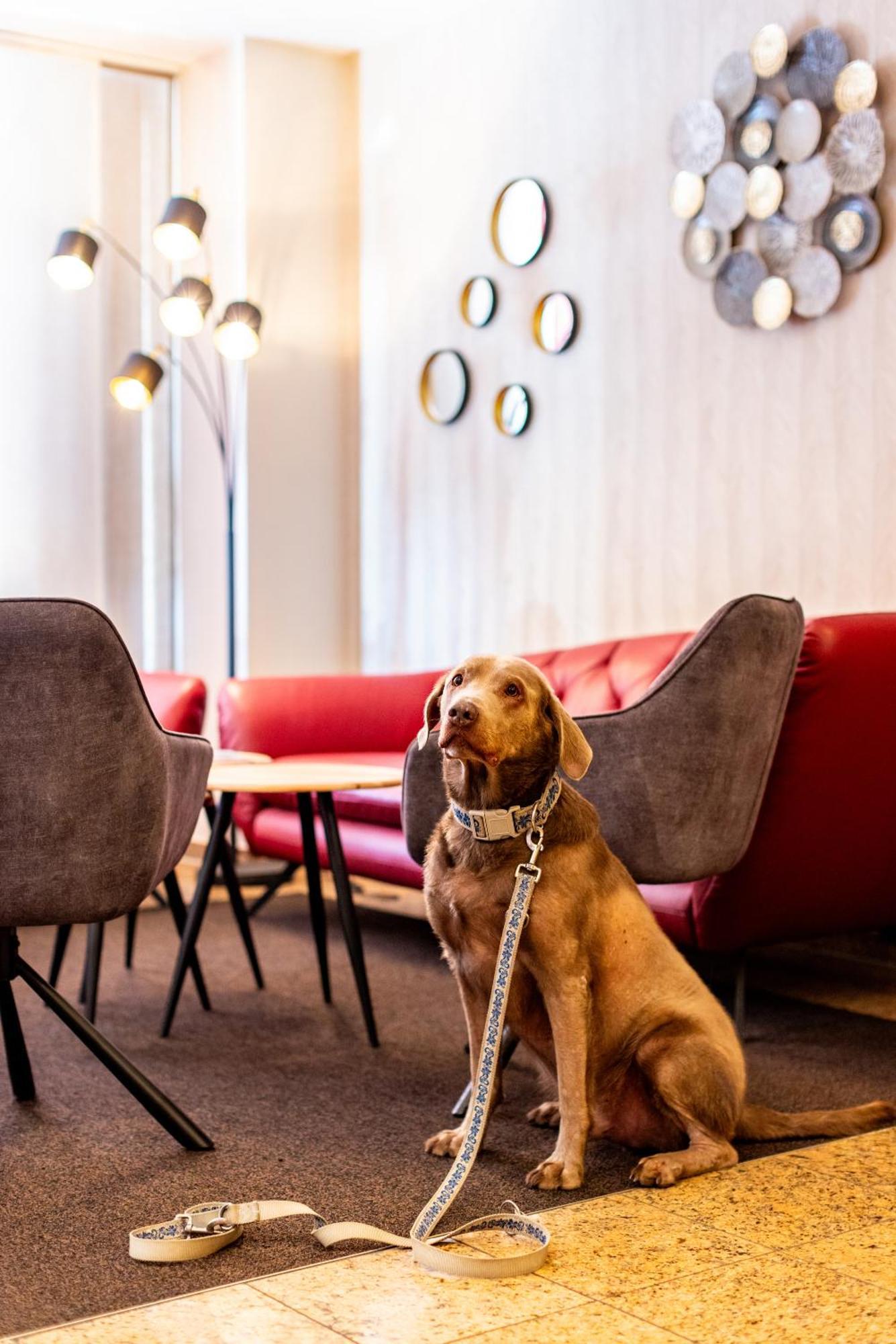 Maingau Hotel Frankfurt am Main Dış mekan fotoğraf